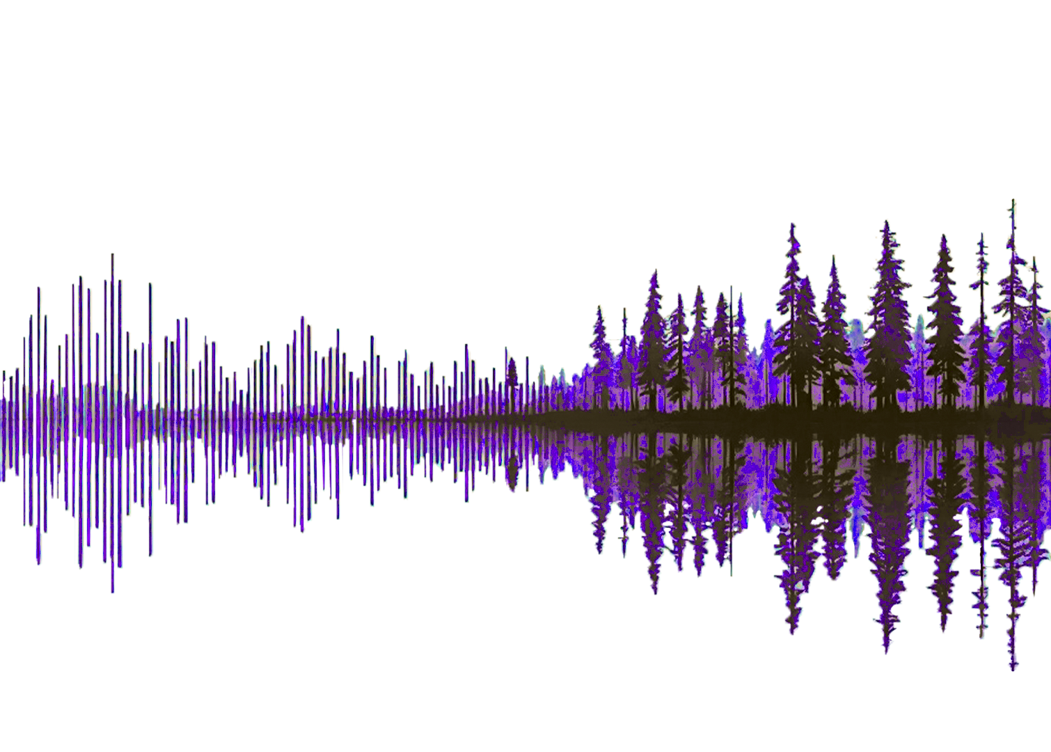 Waveform Wilderness